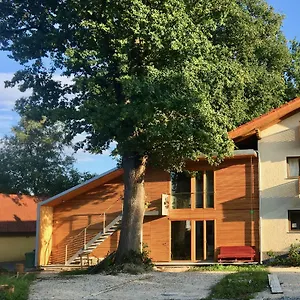 Loft Mit Dachterrasse Apartment